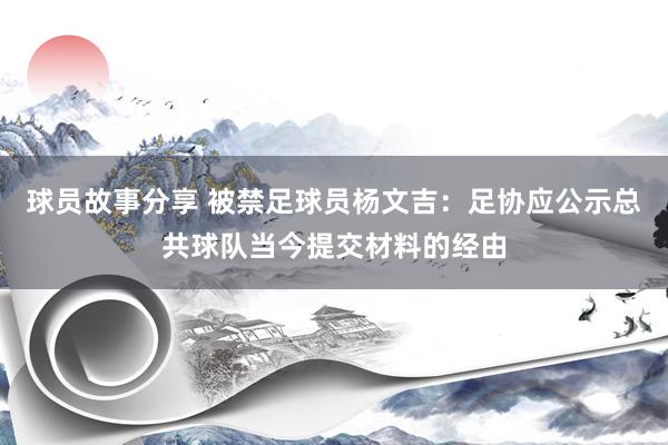 球员故事分享 被禁足球员杨文吉：足协应公示总共球队当今提交材料的经由