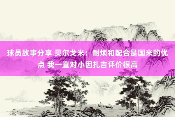 球员故事分享 贝尔戈米：耐烦和配合是国米的优点 我一直对小因扎吉评价很高